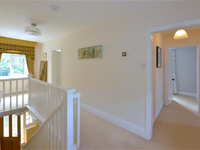Picture 16